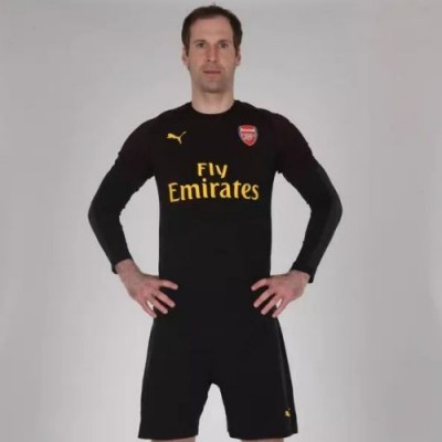 Футбольная форма вратаря детская Арсенал Гостевая 2018/2019 длинный рукав S (рост 116 см)